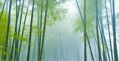 omslaget i dimma, de lugn bambu skog avslöjar naturens eterisk gobeläng. generativ ai foto