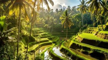 kulturell landskap av bali subak bevattning sy, unesco naturlig förtroende. ai genererad. foto