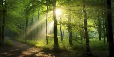 skön strålar av solljus i en grön skog. generativ ai foto