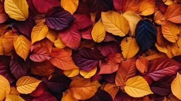 färgrik höst löv, bricka bakgrund, ai genererad foto