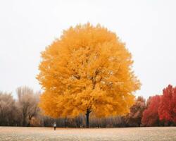 en person stående i främre av en stor gul träd generativ ai foto