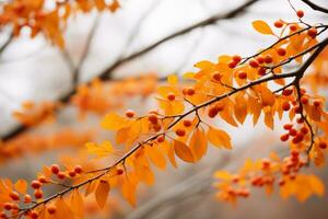 ett orange träd gren med bär på den generativ ai foto