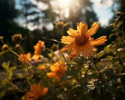 orange blommor i de Sol med träd i de bakgrund generativ ai foto