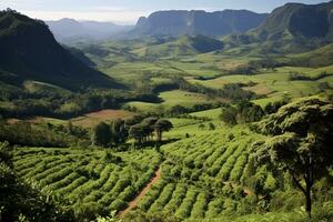 kaffe plantager av söder Amerika med en horisont med bergen i de bakgrund ,generativ ai foto