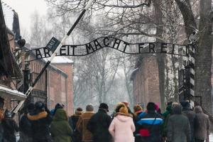 nazi koncentrationsläger auschwitz foto