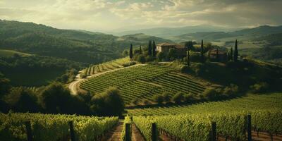 generativ ai, skön italiensk vingård, grön landskap. rader av vinstockar på solnedgång foto