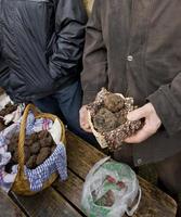 traditionell svart tryffelmarknad av lalbenque i perigord, Frankrike foto