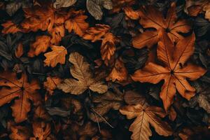 tapet höst löv i de stil av mörk brun och indigo foto