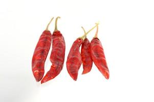 röda chilipeppar isolerad på vitt foto