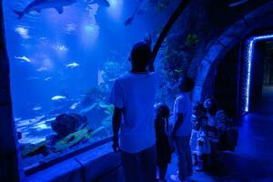 familj ser på fiskar och haj i oceanarium. mor med barn njuter i hav utställning tank. foto