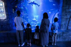 familj ser på fiskar och haj i oceanarium. tillbaka av mor med barn njuter i hav utställning tank. foto