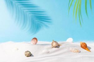 sommarbakgrund med sandskal och palmträd foto