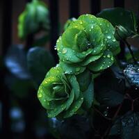 grön reste sig med vatten droppar på dess kronblad och löv ai generativ foto