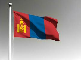 mongoliet nationell flagga vinka på grå bakgrund foto