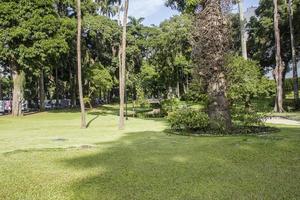 kateter palats trädgårdar i Rio de Janeiro foto