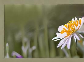 se av färgrik skönhet av blomma växter förbi ai genererad foto