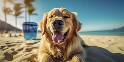 gyllene retriever hund är på sommar semester på havet tillflykt och avkopplande resten på sommar strand av hawaii. ai generativ foto