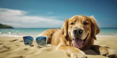 gyllene retriever hund är på sommar semester på havet tillflykt och avkopplande resten på sommar strand av hawaii. ai generativ foto