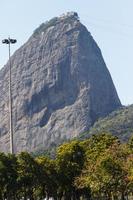 deponi av flamengo i Rio de Janeiro