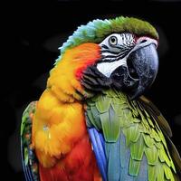 en färgrik papegoja med en svart bakgrund och en svart bakgrund. ai generativ foto