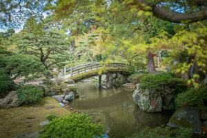 skönhet damm grön reflexion vatten bro trädgård träd i kyoto Japan, asiatisk japansk kejserlig palats landmärke natur parkera fredlig landskap, utomhus- orientalisk zen Asien tradition arv sightseeing foto