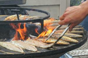 grillad fisk på en skålformad platt grill med brand hål i de Centrum. utomhus- skaldjur utegrill matlagning. picknick på bakgård på öppen luft. gata mat begrepp. framställning fisk över öppen lägereld foto