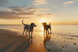 två hundar på de strand på solnedgång. gyllene retriever och labrador retriever. ai generativ foto