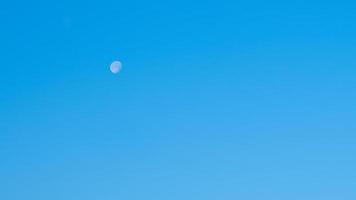 vit måne och blå morgonklar himmel foto