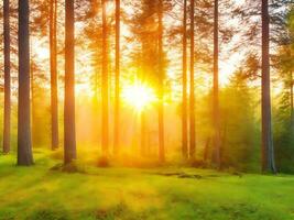 natur bakgrund, skog på solnedgång. ai bild generation foto