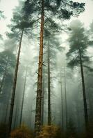 generativ ai, dimmig gran skog skön landskap i hipster årgång retro stil, dimmig bergen och träd. foto