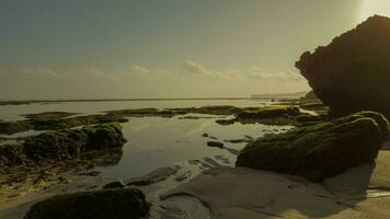 fredlig strand med sten se foto