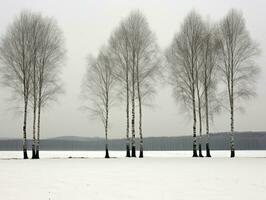 minimalistisk vinter- landskap sammansättning ai generativ foto