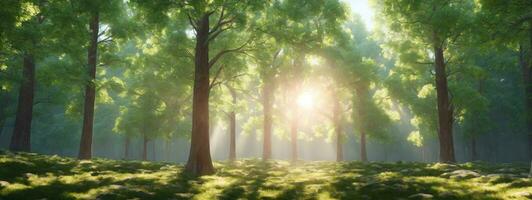 skön skog i vår med ljus Sol lysande genom de träd. ai genererad foto
