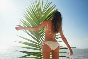 ung mager kvinna i vit bikini badkläder innehav blad av handflatan träd foto