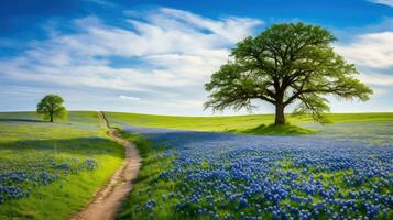 landskap texas Bluebonnet prärier ai genererad foto