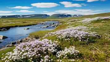 norr arktisk tundra blommor ai genererad foto