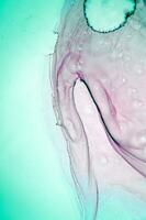 bläck färger är otroligt ljus, lysande, genomskinlig, fritt flödande, och torr snabbt. abstrakt konstverk. trendig tapet. naturlig mönster, lyx. konst för din design projekt. transparent kreativitet. foto