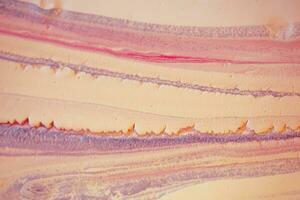abstrakt skapas använder sig av de Metod av flytande akryl. makro fotografi av de minsta detaljer av en bild. de bild visar på vilket sätt svämmar över av nyanser och färger av måla likna Plats motiv. foto