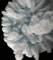 abstrakt vätska akryl målning. marmorerad vit abstrakt bläck moln på blå bakgrund. flytande marmor mönster. modern konst. foto