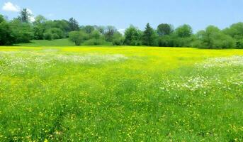 skön grön fält med vilda blommor. ai generativ foto