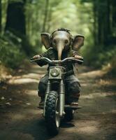 en söt bebis elefant på en minibike ridning genom en skog foto