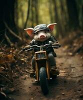 en söt gris på en minibike ridning genom en skog foto