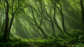 ai genererad. ai generativ - skönhet av natur i en frodig grön skog, en omfattande landskap avslöjade genom en vid vinkel lins foto