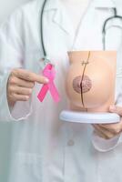 rosa oktober bröst cancer medvetenhet månad, läkare kvinna med rosa band och bröst anatomi modell. nationell cancer överlevande månad, hälsa diagnos, mor och värld cancer dag begrepp foto