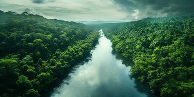 generativ ai, grön skön Amazon djungel landskap med träd och flod, Drönare se foto