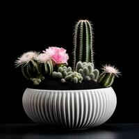kaktus i en växt pott mot en mörk svart bakgrund. generativ ai. foto