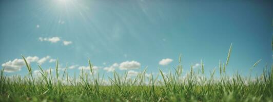 grön gräs på blå klar himmel, vår natur tema. panorama. ai genererad foto