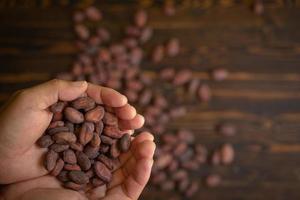kakaobönor i hand på gammal naturlig träbakgrund foto