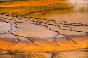 storslagen prismatisk vår i Yellowstone nationalpark foto