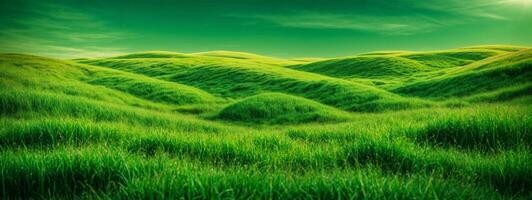 frodig grön gräs äng bakgrund. ai genererad foto